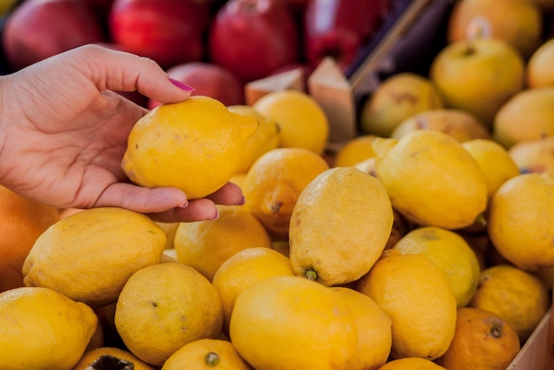 Pretty cliente femenino de compra de limones en el mercado de frutas. Mujer, elegir, limones. Mujer elegir limones frescos para medir en la tienda de comestibles