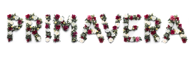 Primavera palabra hecha de flores en blanco