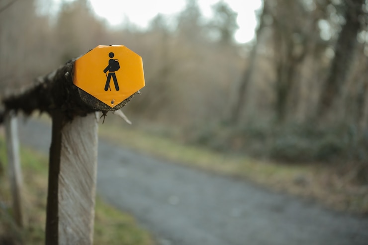 Foto gratuito primer disparo de un cartel amarillo en el bosque