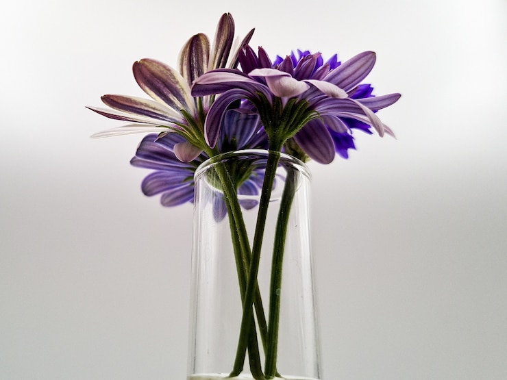 Foto gratuito primer disparo de un hermoso ramo de flores en un jarrón de vidrio aislado sobre un fondo blanco.