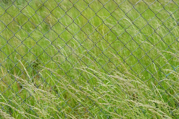 Primer disparo de una valla metálica en el campo lleno de pastos verdes