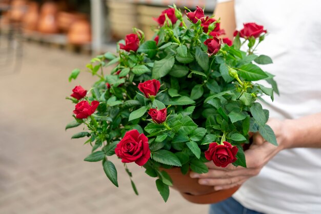 Primer hombre sosteniendo flores elegantes