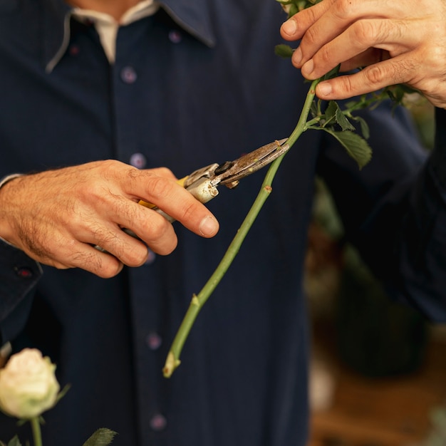 Primer jardinero cortando troncos de flores