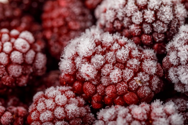 Primer maduro de las moras nevadas. vertical.