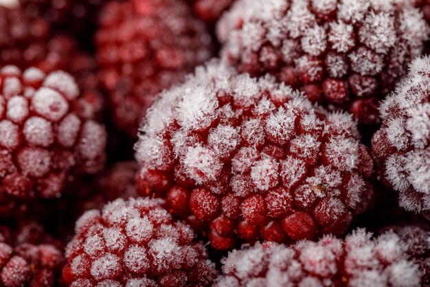 Primer maduro de las moras nevadas. vertical.