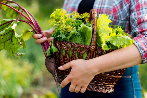 Primer mano que sostiene la cesta de lechuga