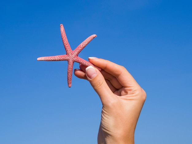 Foto gratuita primer mano sosteniendo una estrella de mar