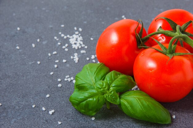 Primer manojo de tomates con hojas en la superficie gris. horizontal