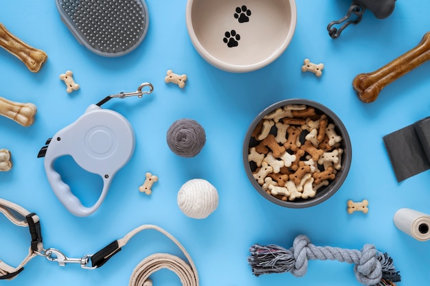 Primer plano de accesorios para mascotas
