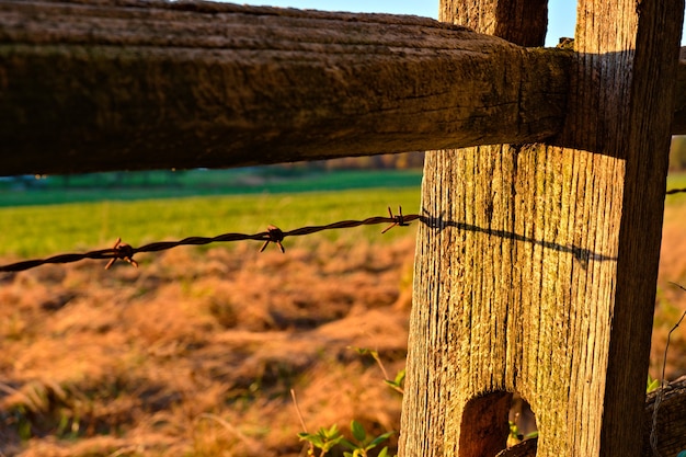 Primer plano de un alambre de púas en una valla de madera en un campo bajo la luz del sol