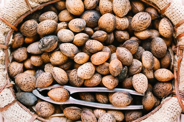 Primer plano de almendras en conchas