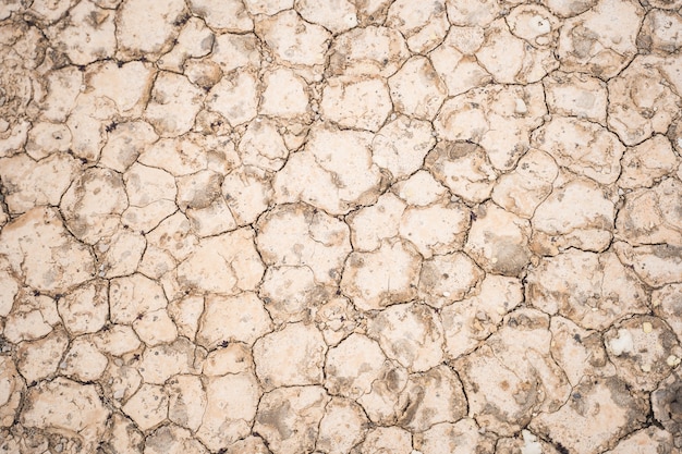 Primer plano de ángulo alto de textura de tierra agrietada para un fondo