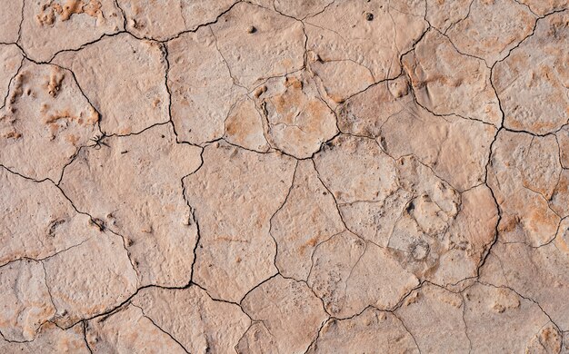 Primer plano de ángulo alto de textura de tierra agrietada para un fondo