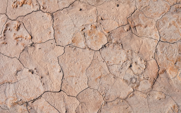 Primer plano de ángulo alto de textura de tierra agrietada para un fondo