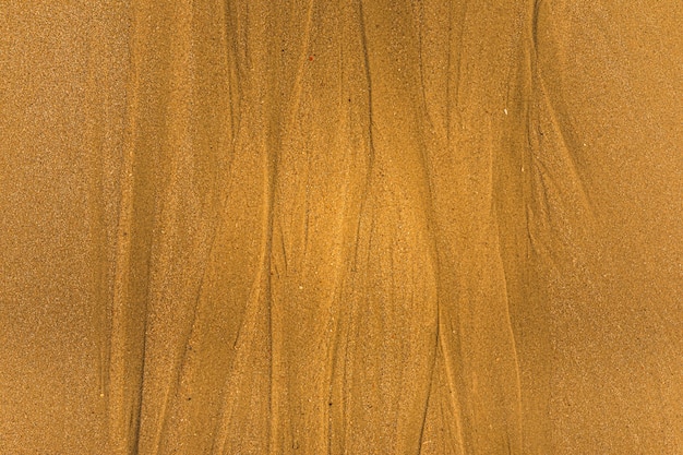 Primer plano de arena con formas de marea y conchas en la playa de textura de fondo de fotograma completo