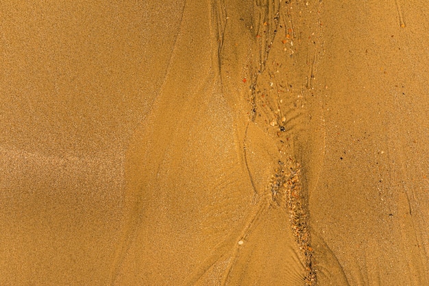 Primer plano de arena con formas de marea y conchas en la playa de textura de fondo de fotograma completo