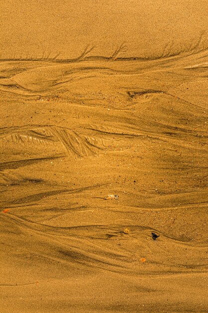 Primer plano de arena con formas de marea y conchas en la playa de textura de fondo de fotograma completo