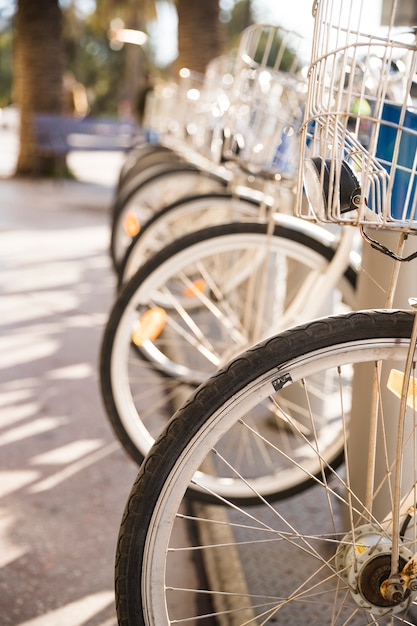 Primer plano de bicicletas en una fila estacionadas en alquiler