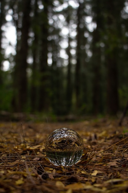 Primer plano de una bola de cristal en el suelo de hojas amarillas secas en un bosque