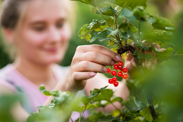 Primer plano borrosa niña recogiendo frutas