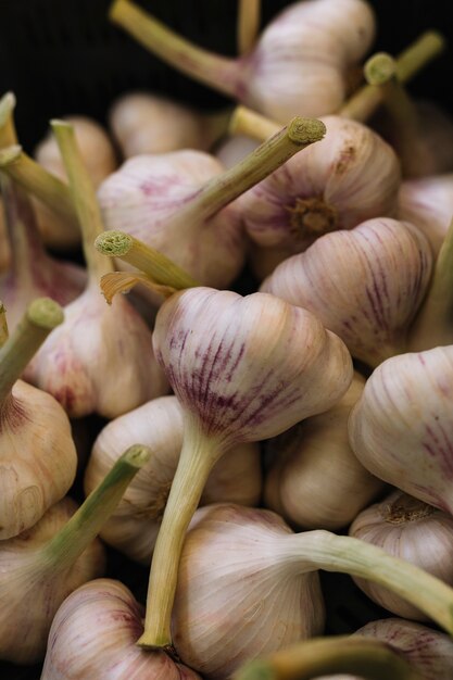 Primer plano de los bulbos de ajo