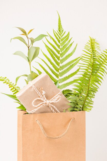 Primer plano de una caja de regalo y hojas de helecho verde en bolsa de papel marrón