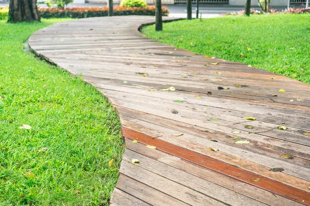 Primer plano camino de madera con hojas secas