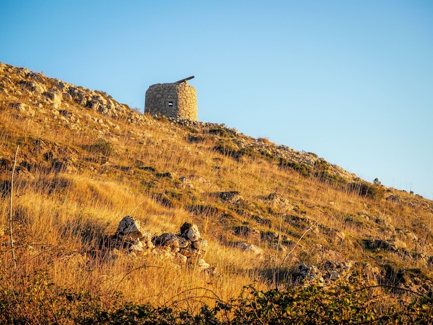 Primer plano de un campo amarillo dorado con cielo azul claro