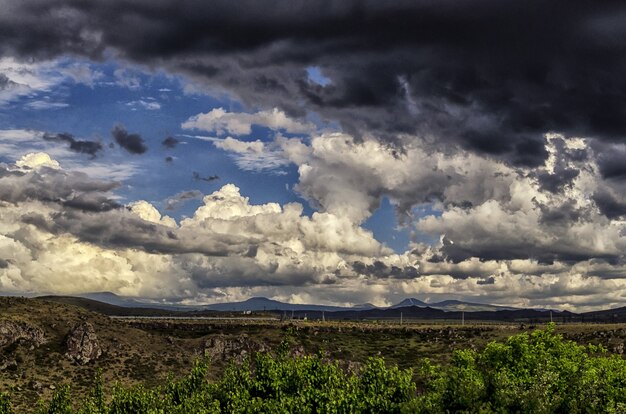 Primer plano de un campo bajo el cielo nublado