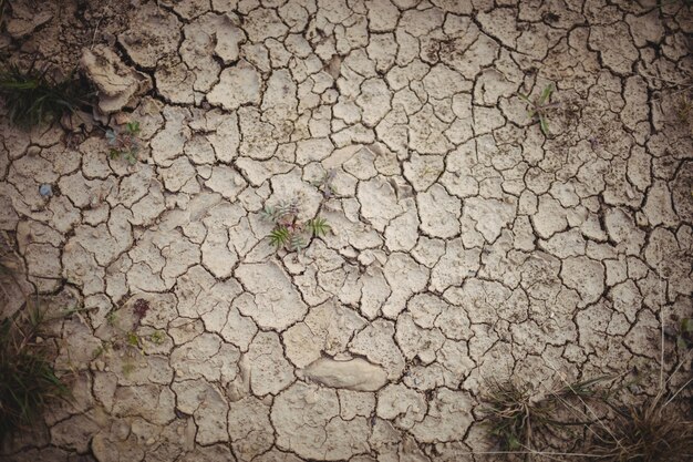 Primer plano de campo seco