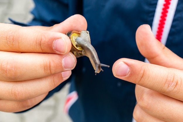 Foto gratuita primer plano de un caracol retenido en manos de una persona del sexo masculino vistiendo una chaqueta azul