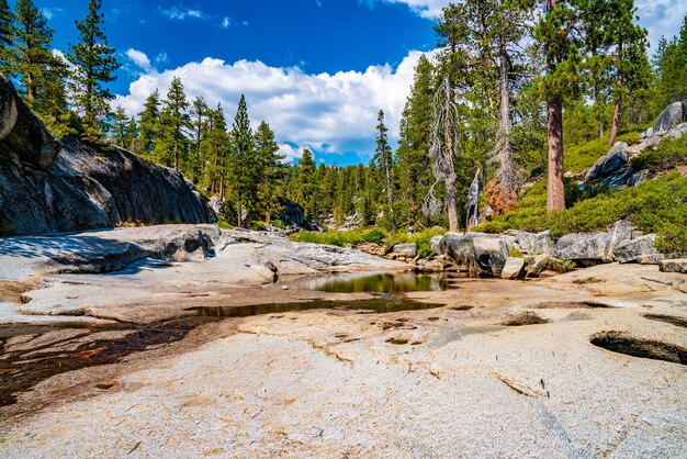 Primer plano de la cascada de Yosemite seca en el Parque Nacional Yosemite
