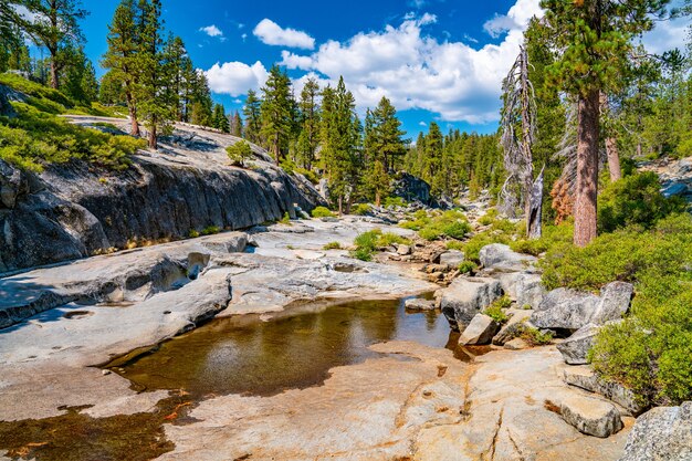 Primer plano de la cascada de Yosemite seca en el Parque Nacional Yosemite