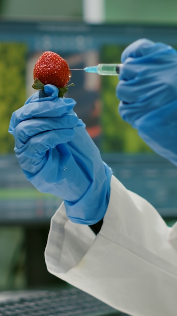 Primer plano de un científico biólogo inyectando fresa con líquido de adn comprobando las frutas para el experimento médico farmacéutico