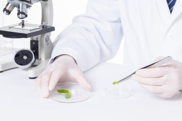 Primer plano de un científico examinando hojas bajo las luces en un laboratorio