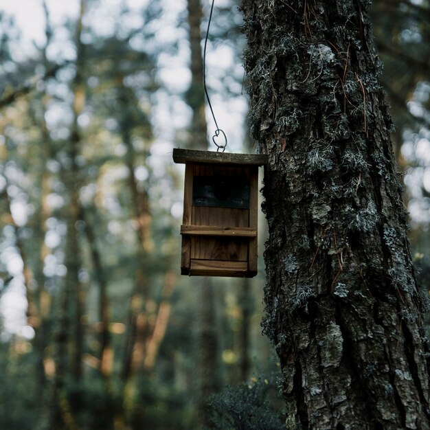 Primer plano de un comedero de pájaros de madera y tronco de árbol