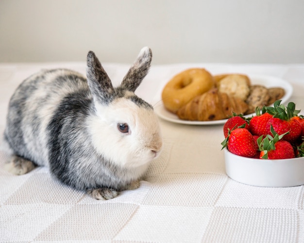 Foto gratuita primer plano de conejo cerca de fresas frescas