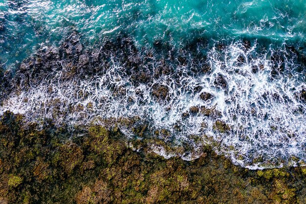 Primer plano de una costa con olas de un mapa 3D sobre lienzo