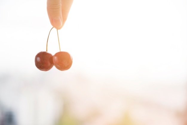 Foto gratuita primer plano del dedo del ser humano que sostiene la ramita de cerezas rojas contra el telón de fondo borroso