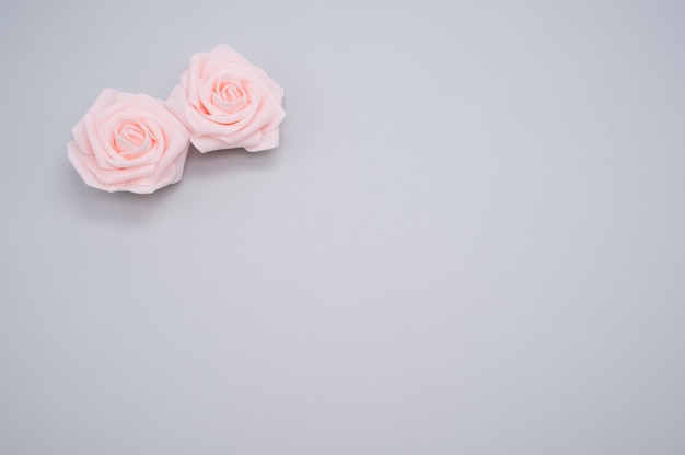 Primer plano de dos rosas rosadas aisladas sobre un fondo azul con espacio de copia