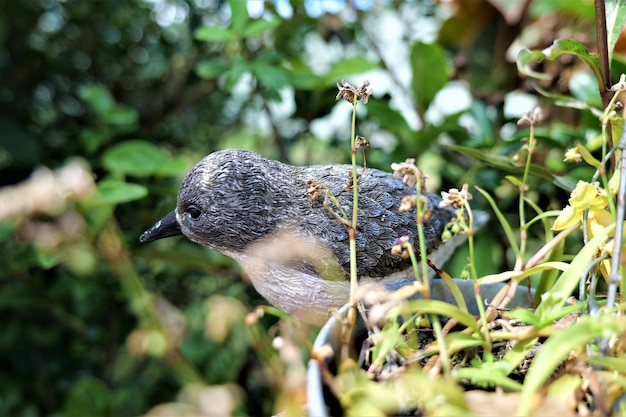 Primer plano de la estatua de pájaro artificial en el parque contra un fondo verde