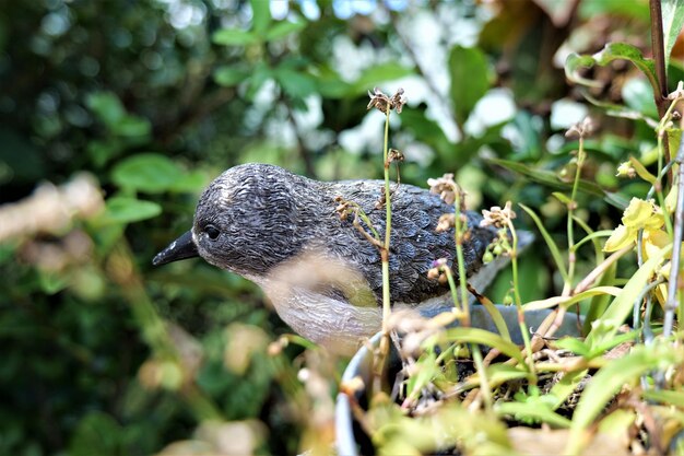 Primer plano de la estatua de pájaro artificial en el parque contra un fondo verde