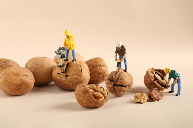 Foto gratuita primer plano de figuras laborales en miniatura en nueces