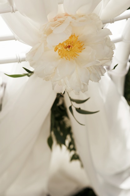 Primer plano de la flor blanca grande colgando de la silla