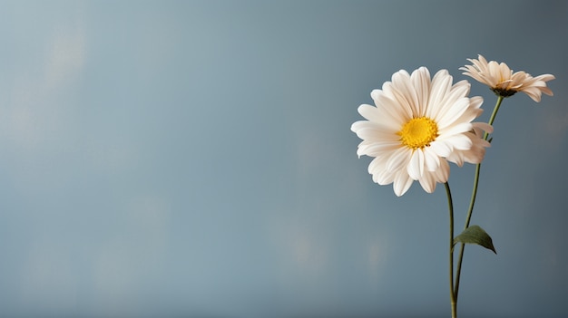 Foto gratuita un primer plano de una flor delicada