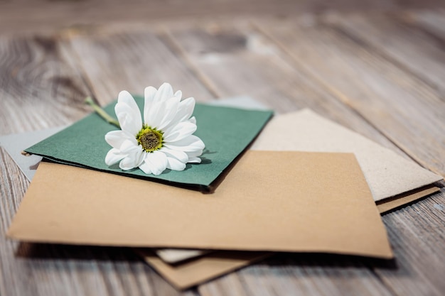 Primer plano de una flor de manzanilla en sobres con letras