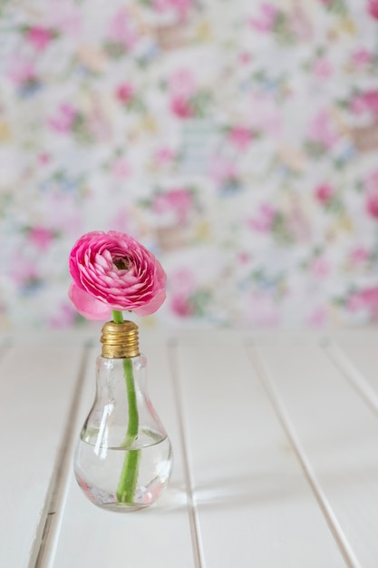 Foto gratuita primer plano de flor rosa bonita