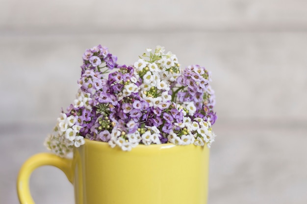 Primer plano de flores bonitas en taza amarilla