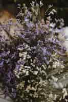 Foto gratuita primer plano de flores de caspia blancas y moradas