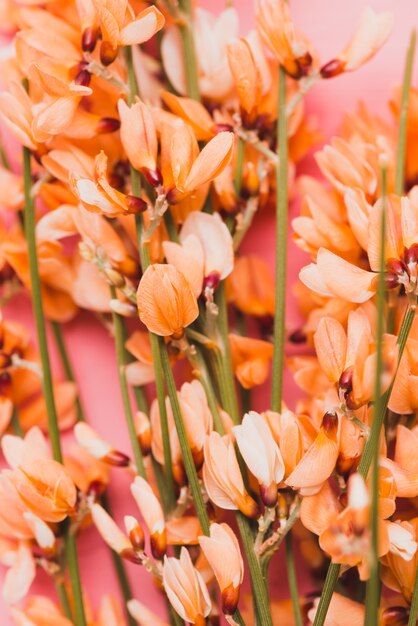 Primer plano de flores decorativas en tonos naranjas